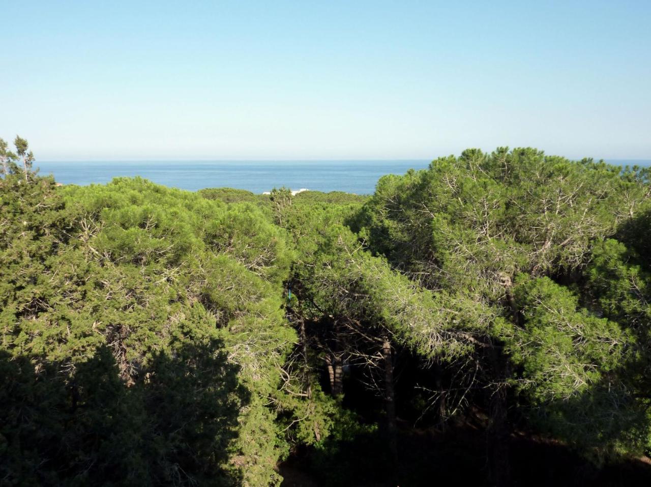 La Bouganville Apartments Cala Gonone Exterior photo